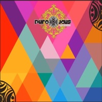 Diva - Single - DJ CARLOS G & Erich Ensastigue