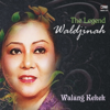 Bengawan Solo - Waldjinah