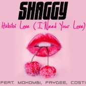 Habibi Love (I Need Your Love) [feat. Mohombi, Faydee & Costi] artwork