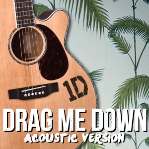 Drag Me Down (One Direction Acoustic Cover) - Single