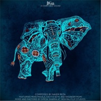 Bliss (feat. Penn Masala, Kavita Seth & Raginder Momi) - Single - Naiem Reza