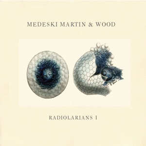 Radiolarians 1