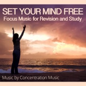 Set Your Mind Free - Focus Music for Revision and Study artwork