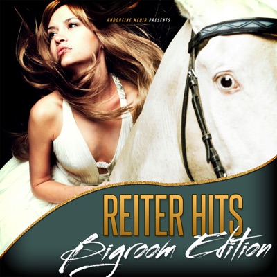 Reiter Hits - Bigroom Edition