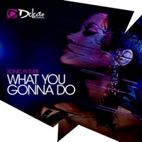 What You Gonna Do - Single - Sonic Future
