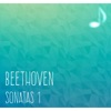 Reimund Sheinfeld - Piano Sonata No. 13 in E-Flat Major, Op. 27 No. 1