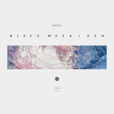 Black Mesa / Xen - Single