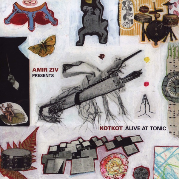 Alive at Tonic (feat. Amir Ziv, Cyro Baptista & Shahzad Ismaily)