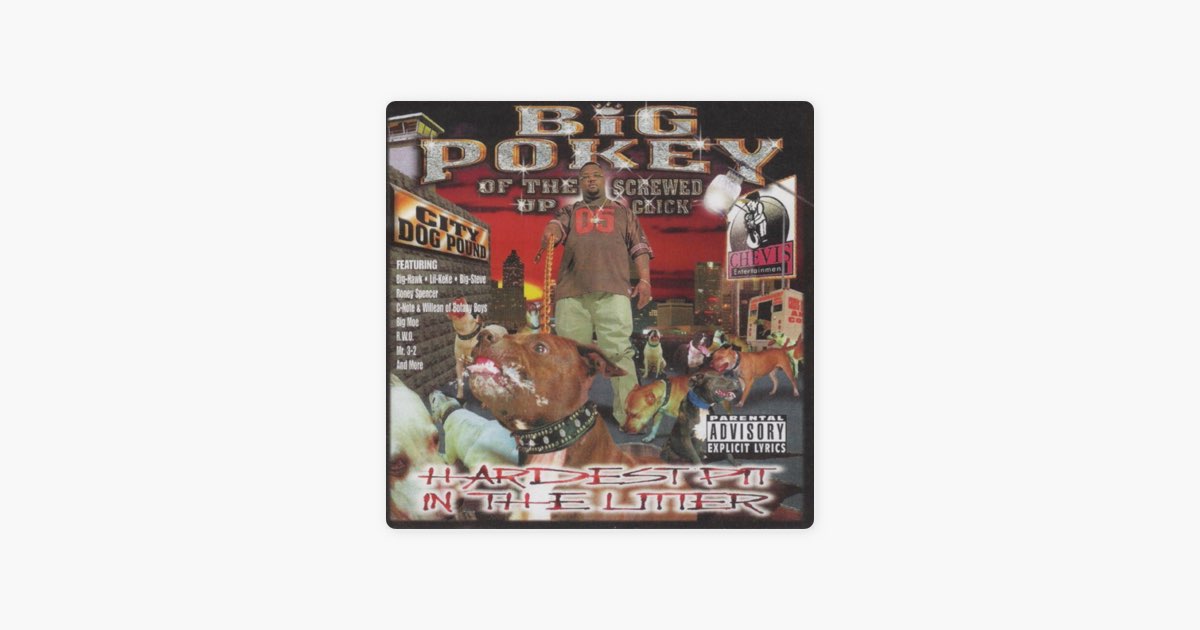 G-RAP / Big Pokey – Hardest Pit In The 〜 Hardest Pit in the Litter - Album by Big Pokey | Spotify