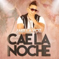 Jake La Voz - Cae la Noche