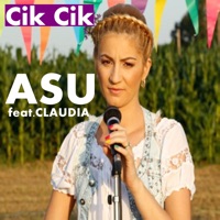 Cik Cik - Single - Asu