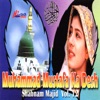 Muhammad Mustafa Ka Desh Vol. 12 - Islamic Naats