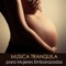 Música Prenatal - Musica Tranquila Maestro lyrics