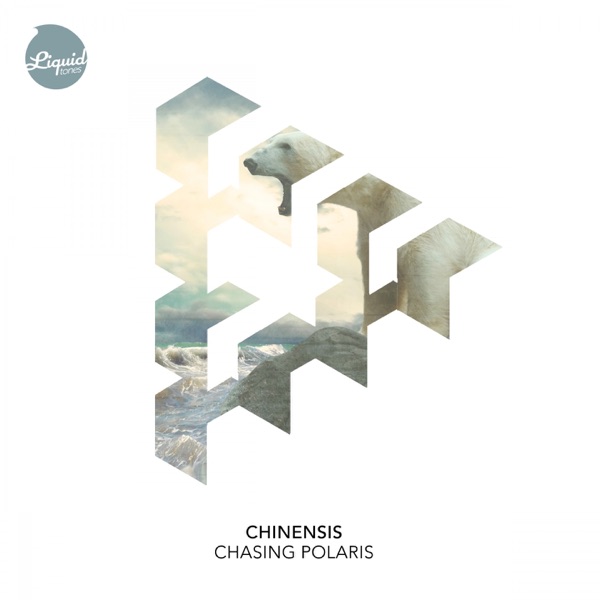 Chasing Polaris - EP