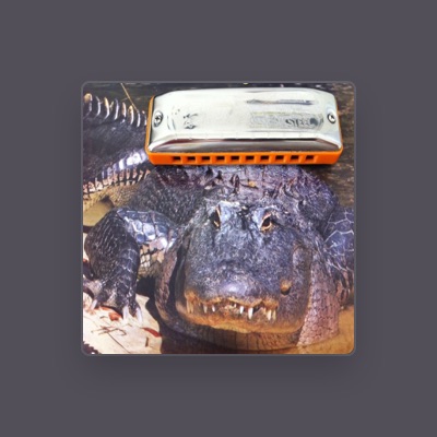 Listen to Alligator Blues Band, watch music videos, read bio, see tour dates & more!