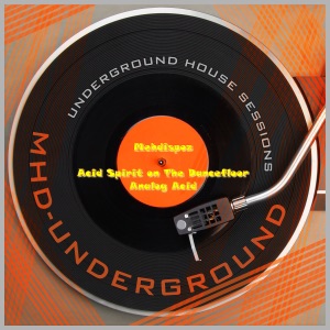 Acid Spirit On the Dancefloor - Single