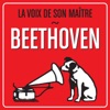 Philharmonique de Vienne & Sir Simon Rattle