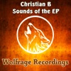 Sounds of the - Single