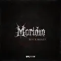 Black Blood
