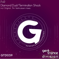 Termination Shock / Diamond Dust - Single - PvR