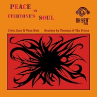 Peace in Everyone's Soul (feat. Vaun Noir) - Single - Urvin June