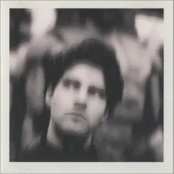 Plastic Wood - Lloyd Cole