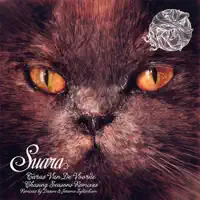 Chasing Autumns (Dosem Remix) — Taras van de Voorde