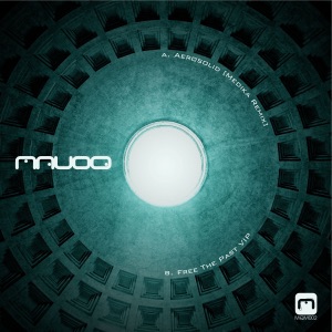 Aerosolid (Medika Remix) \ Free the Past VIP - Single