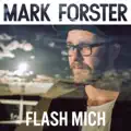 Flash Mich