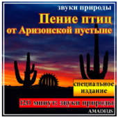 Cover art for Пение птиц от Аризонской пустыне - Звуки природы - Специальное издание by Amadeus
