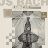 Missa in G major BWV 236/E4: Gratias agimus tibi (Bass) artwork