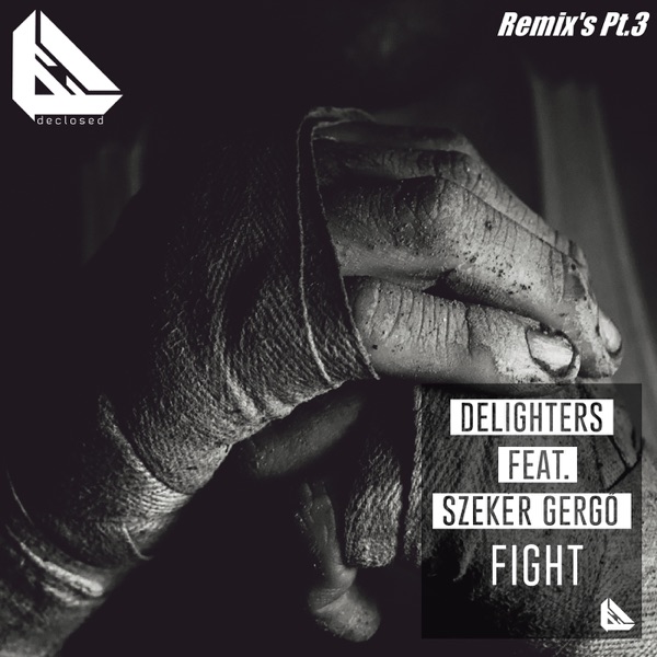 Fight (Remix's Pt. 3) [feat. Szeker Gergo] - Single