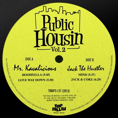 Public Housin Vol 2 - EP