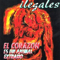 El Corazón Es un Animal Extraño - Ilegales