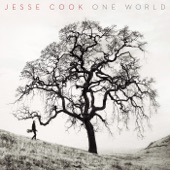 Jesse Cook - When Night Falls