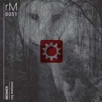 Quietude (feat. Kevin Boucher) — Roy Mattson