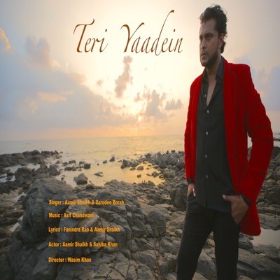 Teri Yaadein - Single