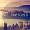 Paul Hazendonk & Hank Achi - Canyon (Logiztik Sounds Acoustical Mix)