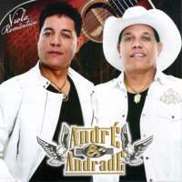 Album cover for Pássaro Sem Ninho by André & Andrade