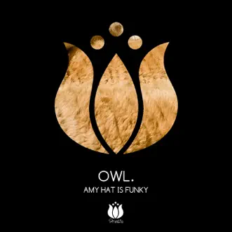 My Hat Is Funky - Single by Owl album reviews, ratings, credits