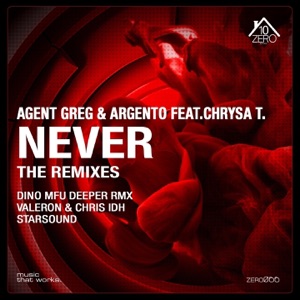 Never (feat. Chrysa T.) [The Remixes] - Single