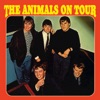 The Animals On Tour, 1965