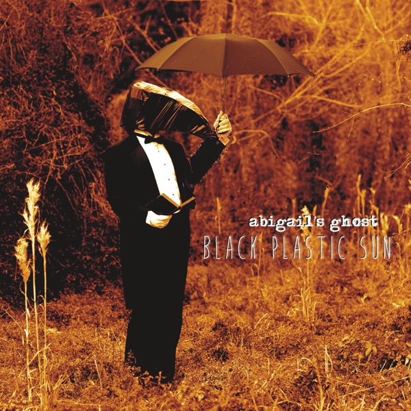 Black Plastic Sun album cover