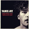 Vance Joy - Riptide (FlicFlac remix)