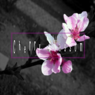 Cherry Blossom (feat. 윤가람)
