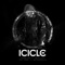 Problem (feat. Skittles) - Icicle lyrics