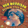 Van Morrison - Brown Eyed Girl kunstwerk