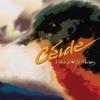 Céide - The Pullet That Wants the Cock / The Night Before Larry Was Stretched / Islay Rant (Jig / Slip Jig / Rant)