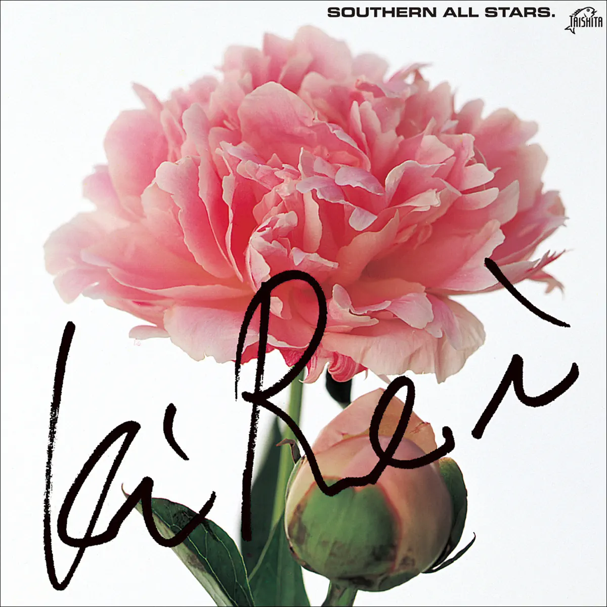 南方之星 Southern All Stars - 綺麗 (1983) [iTunes Plus AAC M4A]-新房子