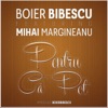 Pentru Ca Pot (feat. Mihai Margineanu) - Single